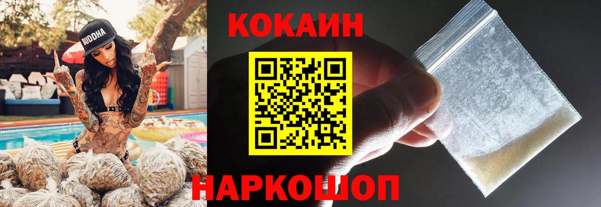 COCAIN Fish Scale  COCAIN VHQ  Лянтор  Вход с VPN 