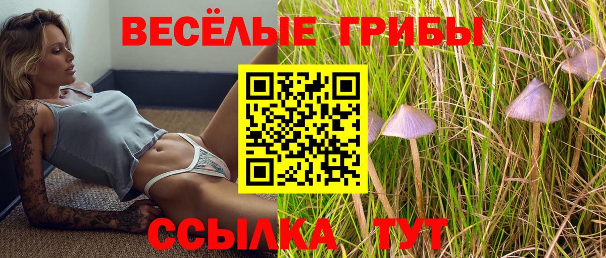 Галлюциногенные грибы мухоморы Лянтор